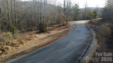 Embrace the tranquil mountain lifestyle on this remarkable - photo 5