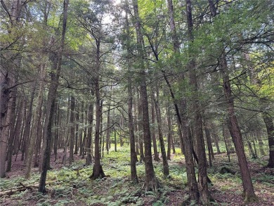 Lake Acreage For Sale in Windsor, New York