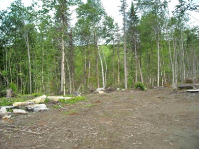 Lake Acreage Off Market in Greensboro, Vermont