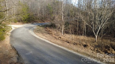 Embrace the tranquil mountain lifestyle on this remarkable - photo 2