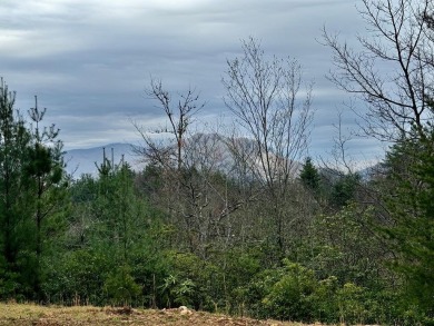 Lake Lot For Sale in Topton, North Carolina