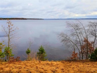 Stunning sunrises on this large lakefront lot. With a little - Lake Acreage For Sale in Necedah, Wisconsin
