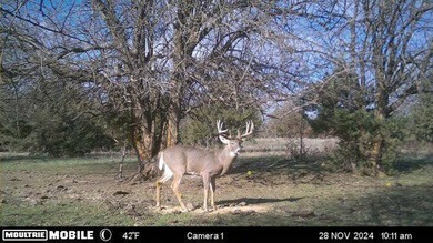 (private lake, pond, creek) Acreage For Sale in Wamego Kansas
