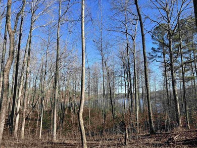 Nice lakefront lot in the gated Indian Lake community. This lot - photo 3