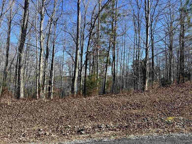 Nice lakefront lot in the gated Indian Lake community. This lot - photo 5