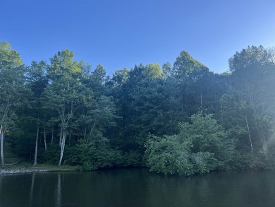 Nice lakefront lot in the gated Indian Lake community. This lot - photo 8
