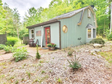 (private lake, pond, creek) Home Sale Pending in White Cloud Michigan