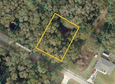 Bowers Lake Lot For Sale in Ocala Florida