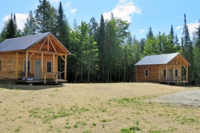 (private lake, pond, creek) Home For Sale in Brownington Vermont