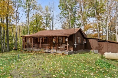 Delightful cabin style cottage on 6.60 surveyed beautiful - photo 8