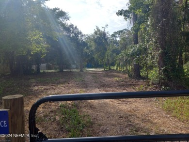 Lake Lot For Sale in Crescent City, Florida