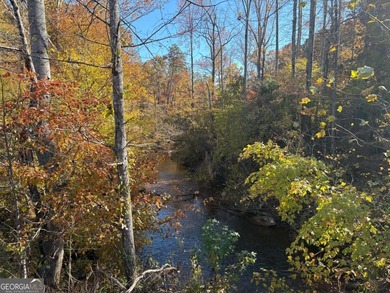 Lake Acreage For Sale in Dawsonville, Georgia