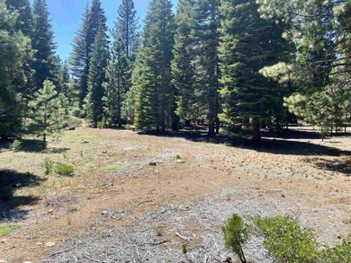 Lake Almanor Lot For Sale in Lake Almanor California
