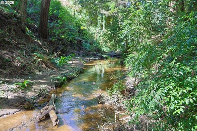 Spacious 110' x 80' wooded lot with peaceful creek frontage - photo 5