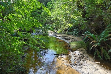 Spacious 110' x 80' wooded lot with peaceful creek frontage - photo 6