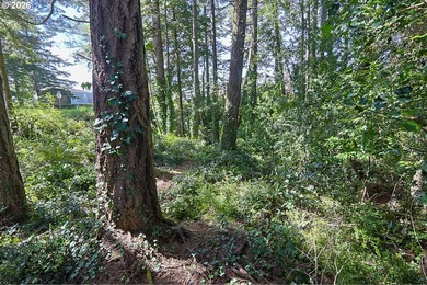 Spacious 110' x 80' wooded lot with peaceful creek frontage - photo 7