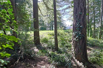 Spacious 110' x 80' wooded lot with peaceful creek frontage - photo 8