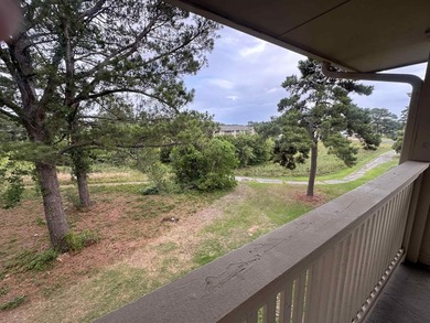 Welcome to this charming condominium located at 4210 Pinehurst - photo 11