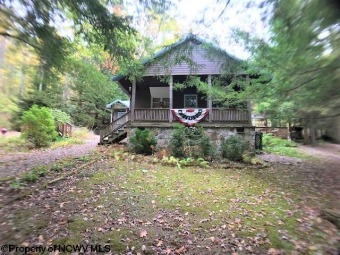 Terra Alta Lake Home For Sale in Terra Alta West Virginia