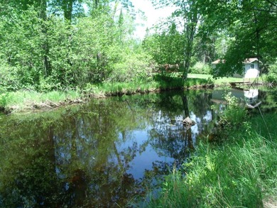 Looking for an Up North waterfront getaway with potential? This - photo 8