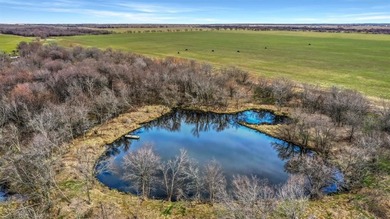 (private lake, pond, creek) Acreage For Sale in Collinsville Texas