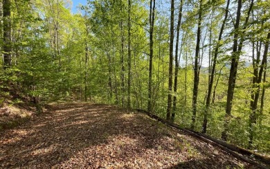 Lake Chatuge Lot For Sale in Hayesville North Carolina