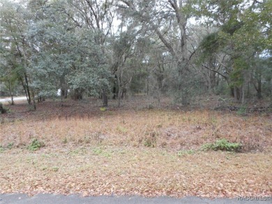 Lake Lot For Sale in Dunnellon, Florida