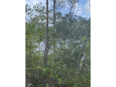 Lake Lot For Sale in Palm Coast, Florida