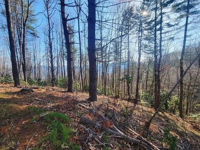 (private lake, pond, coastal) Lot For Sale in Waynesville North Carolina