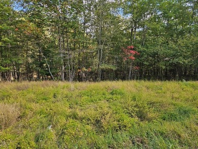 Long Lake Acreage For Sale in Spencer Tennessee