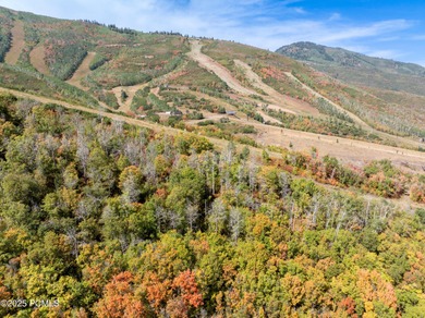 Nestled high on the slopes of Park City Mountain Resort, this 1 - photo 17