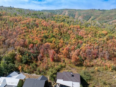Nestled high on the slopes of Park City Mountain Resort, this 1 - photo 21
