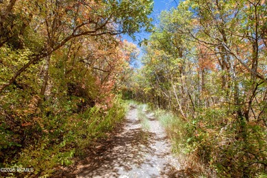 Nestled high on the slopes of Park City Mountain Resort, this 1 - photo 24