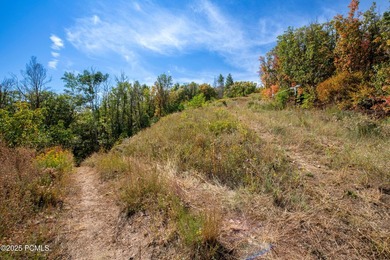 Nestled high on the slopes of Park City Mountain Resort, this 1 - photo 26
