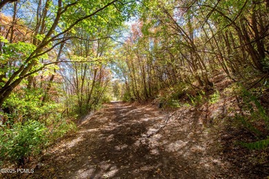 Nestled high on the slopes of Park City Mountain Resort, this 1 - photo 27