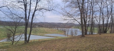 (private lake, pond, creek) Lot For Sale in Lisbon Ohio