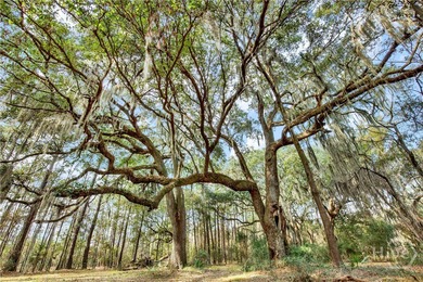 199 Burton Rd in Savannah GA is Lot 1 of the 4 Lots For Sale on - photo 3