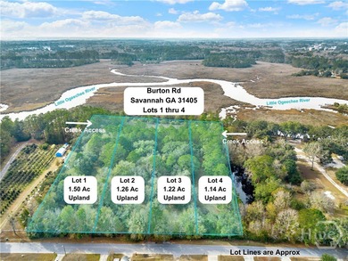 199 Burton Rd in Savannah GA is Lot 1 of the 4 Lots For Sale on - photo 4