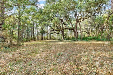 199 Burton Rd in Savannah GA is Lot 1 of the 4 Lots For Sale on - photo 6