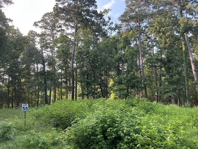 Here's your chance to own 3 adjoining waterfront lots in a Lake - photo 11