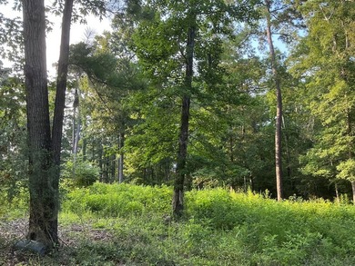 Here's your chance to own 3 adjoining waterfront lots in a Lake - photo 13