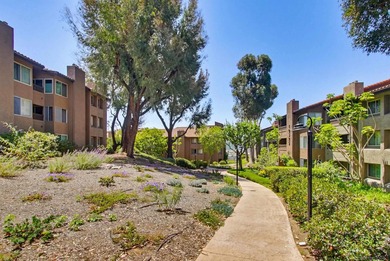 View View View, Welcome to Mission Ridge, a park like community - photo 33