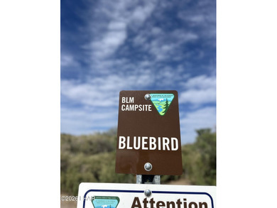Experience Lake Havasu Living at Its Finest Discover an - photo 10