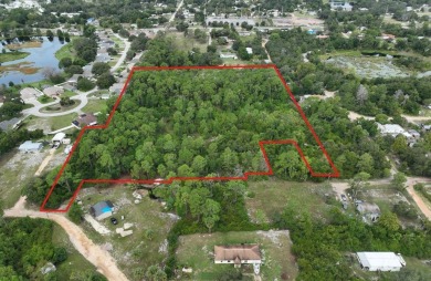 (private lake, pond, creek) Acreage For Sale in Leesburg Florida