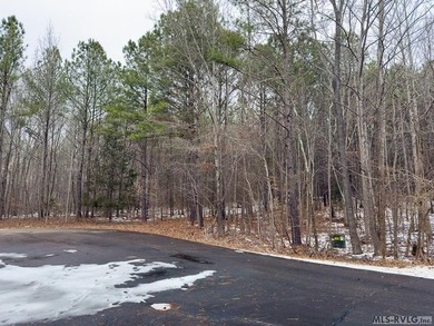 Tucked within the gates of Harbor Landing, Lot 67 offers just - photo 2