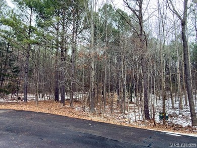 Tucked within the gates of Harbor Landing, Lot 67 offers just - photo 3