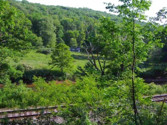 Potomac River - Morgan County Acreage For Sale in Gormania West Virginia