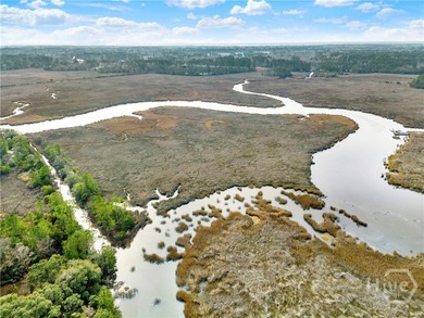 193 Burton Rd is Lot 2 of the 4 Lots For Sale on the Little - photo 1
