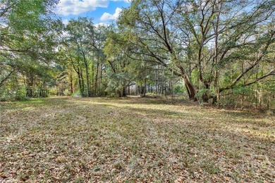 193 Burton Rd is Lot 2 of the 4 Lots For Sale on the Little - photo 4