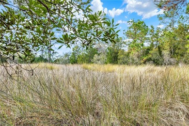 193 Burton Rd is Lot 2 of the 4 Lots For Sale on the Little - photo 8